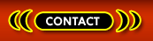 Transsexuals Phone Sex Contact Dallas